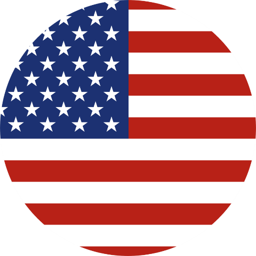 consultoria em educação bilíngue